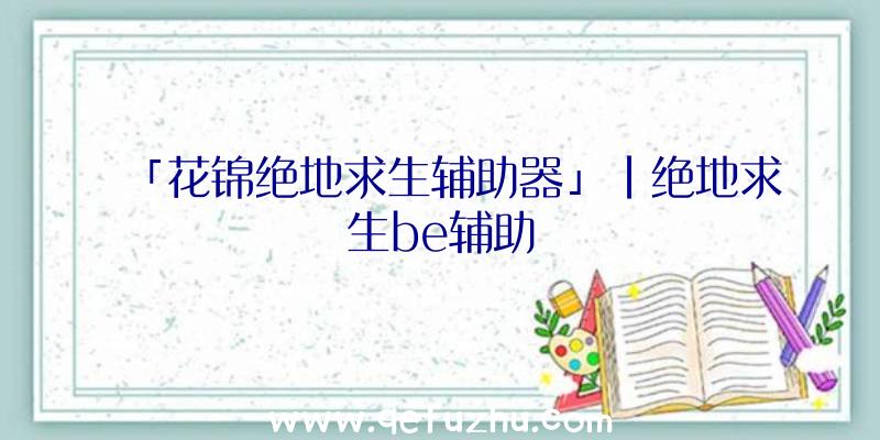 「花锦绝地求生辅助器」|绝地求生be辅助